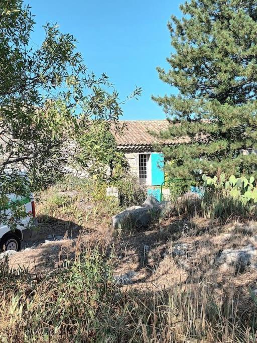 La Maison Bleue Montfort  Eksteriør bilde
